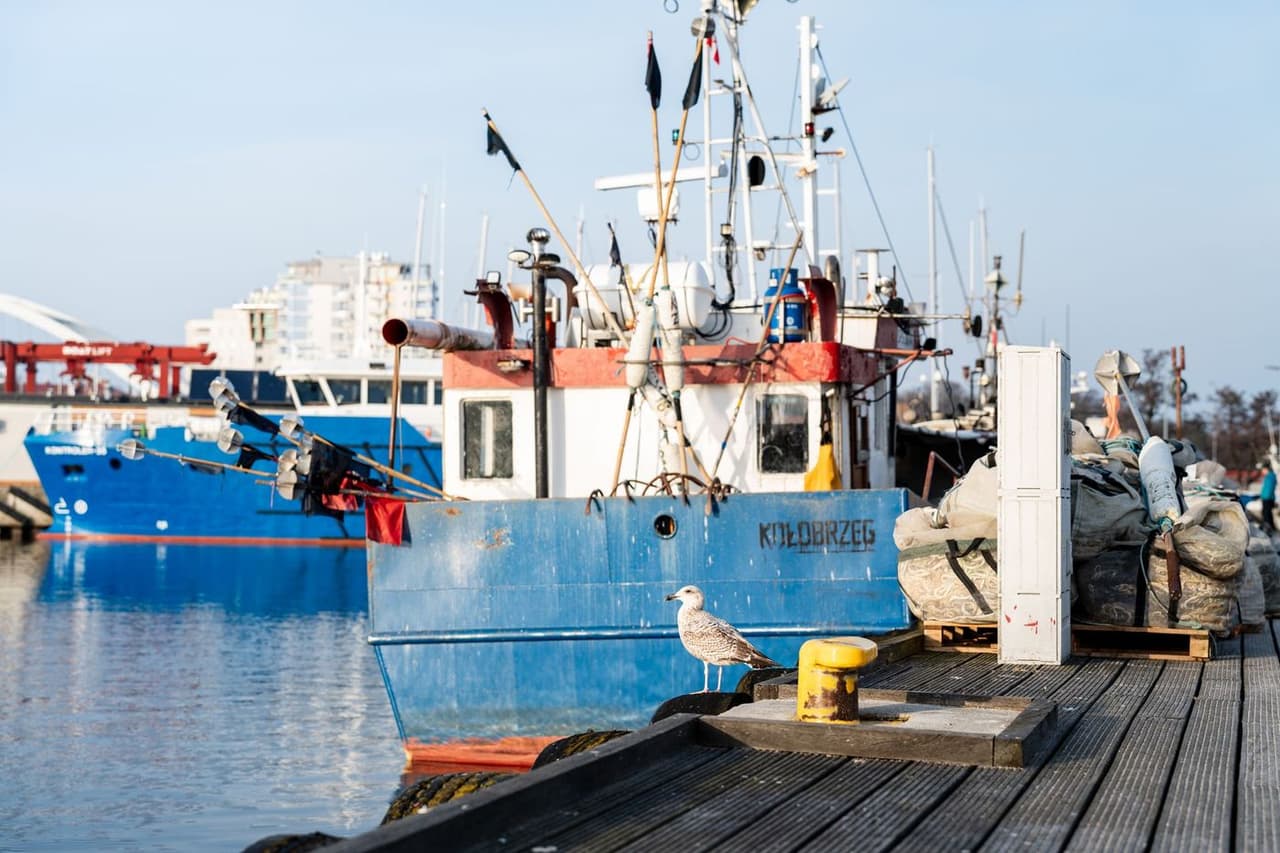 Port w Kołobrzegu z kutrami rybackimi