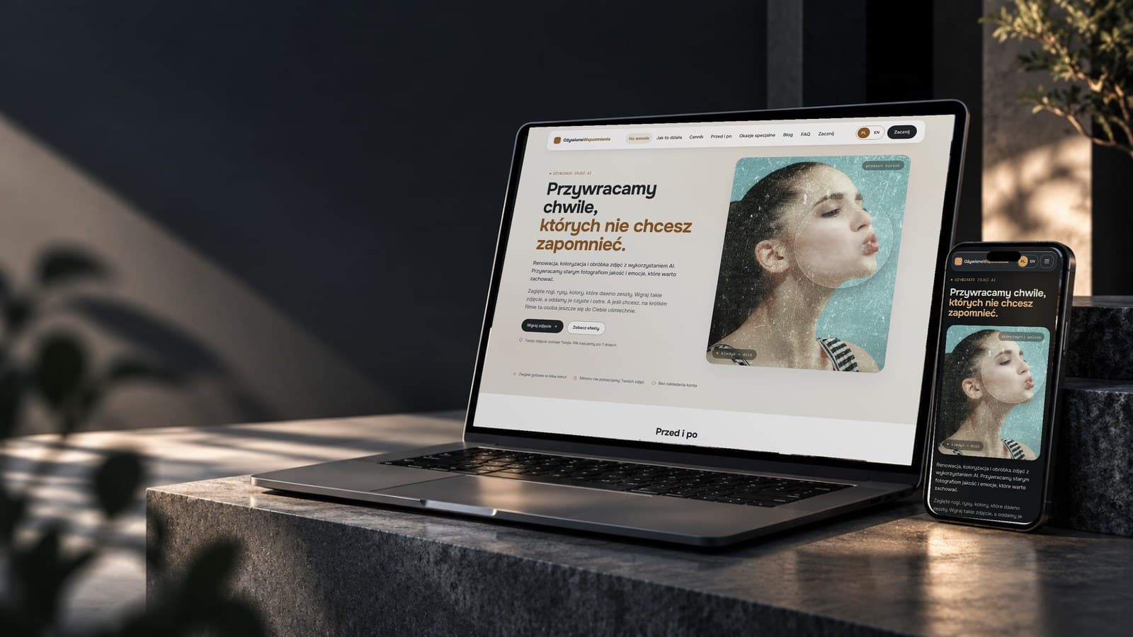 Ożywione Wspomnienia: Service website